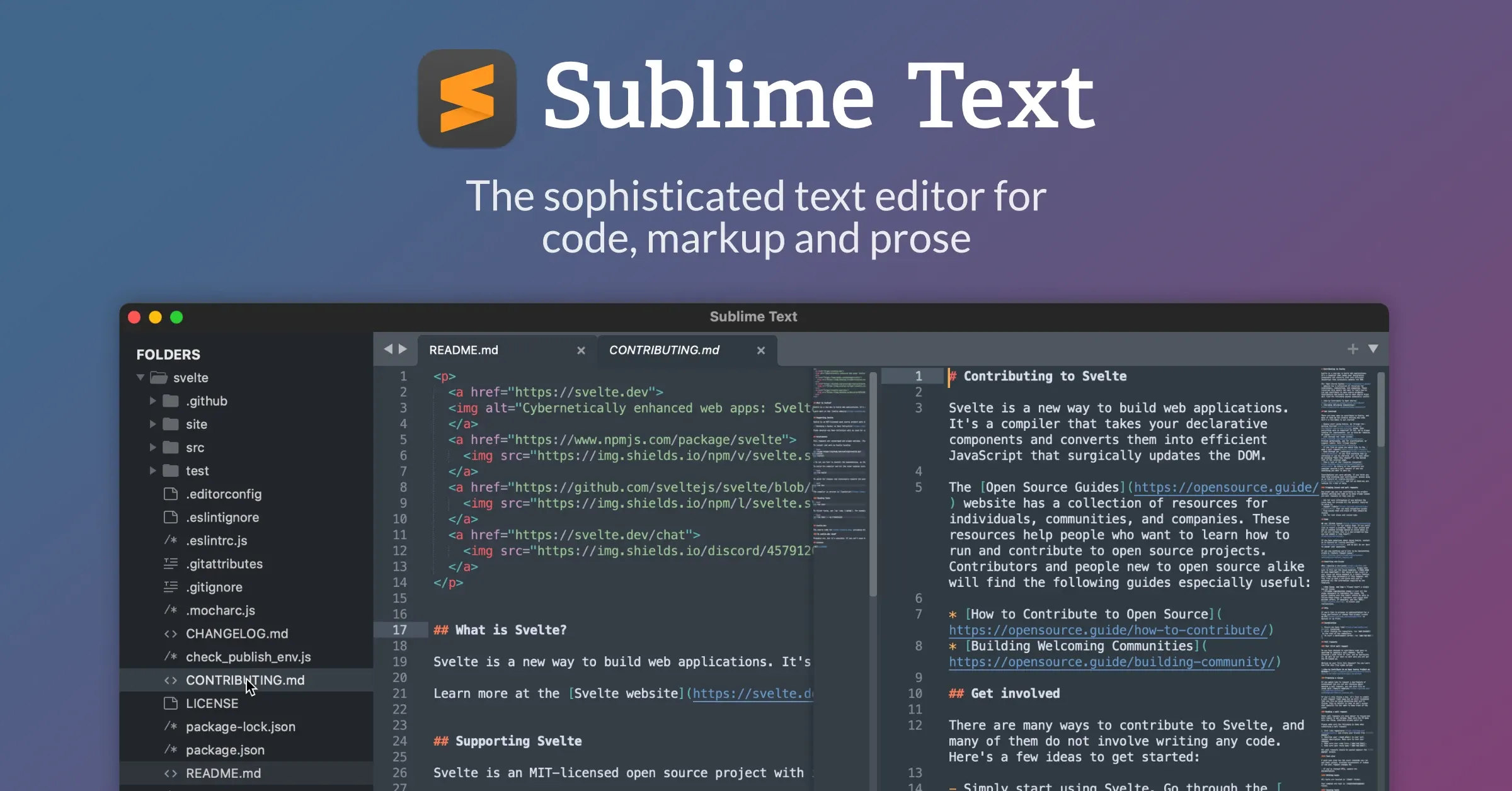 Sublime Text editor preview